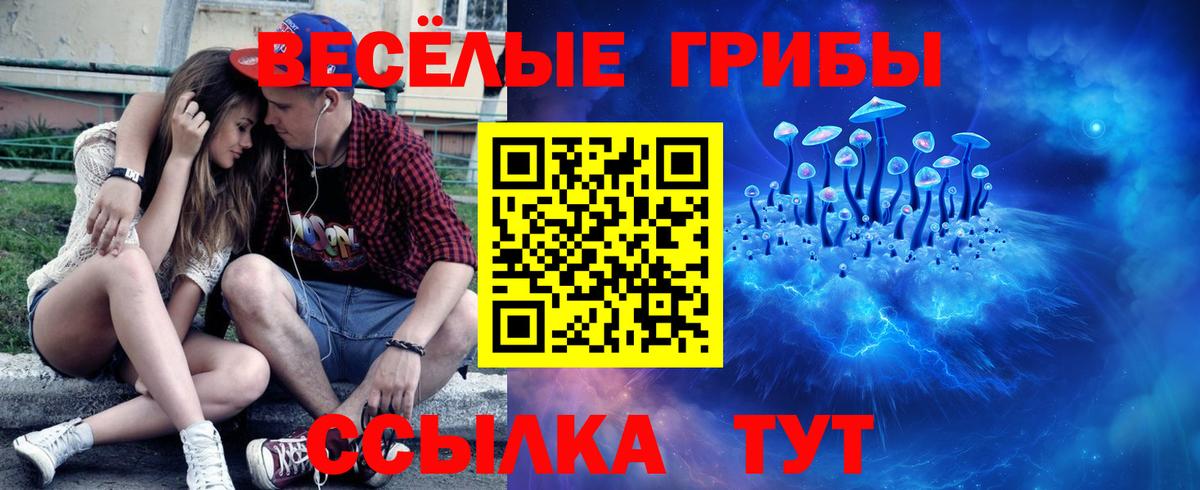 Галлюциногенные грибы MAGIC MUSHROOMS  Вход с VPN  Сальск  Галлюциногенные грибы MAGIC MUSHROOMS 