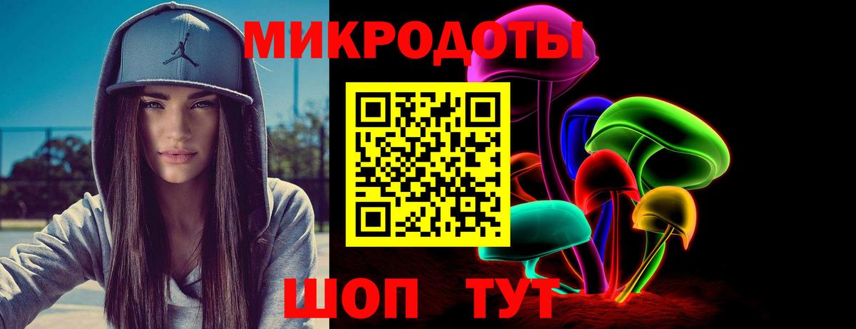 Галлюциногенные грибы Cubensis Сальск
